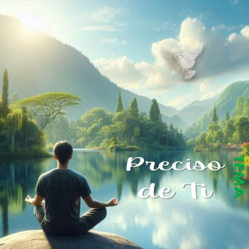 Meditação On-line